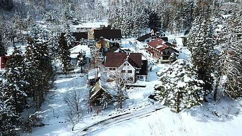 Hakuba Real Estate Kamishiro Mountain Lodge LP