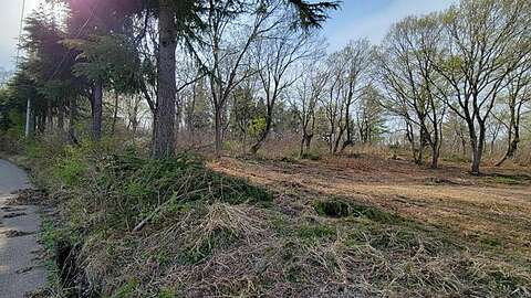 Hakuba Real Estate Quiet Light Reserve 4