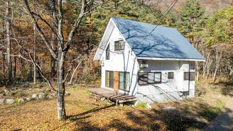Hakuba Real Estate Thunderbird 1
