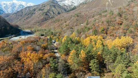 Hakuba Real Estate Thunderbird 10