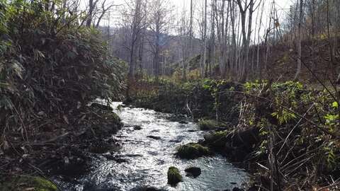 Hanazono Creekside10