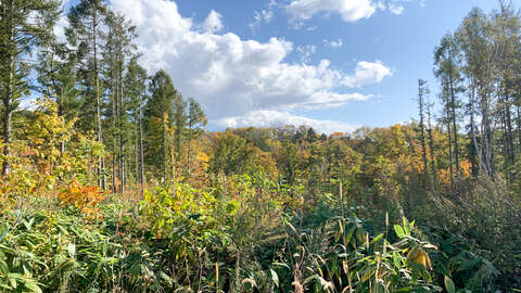 Hinode 134 photo web 8 mtime20201104135037