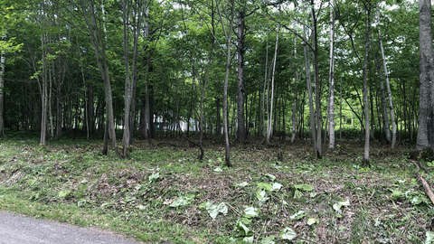 IMG 5985