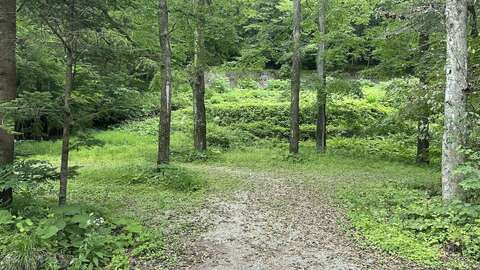 IMG 9819