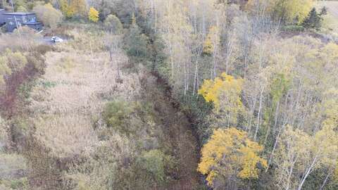 Kabayama Corner Creek in Autumn