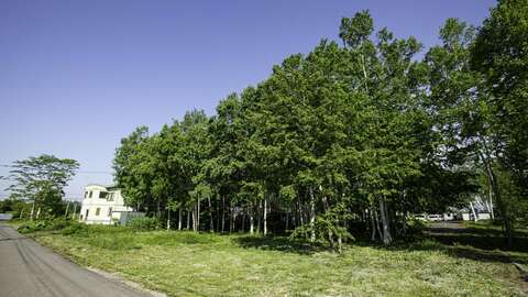 Kabayama Farmviews 04