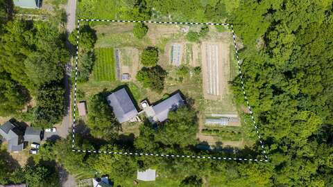 Kondo Double House and garden D 02