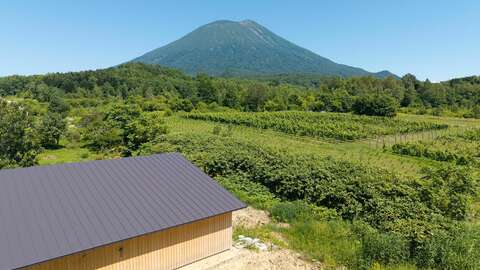 Kondo Land 407 6 15