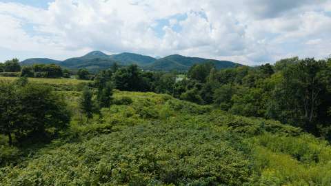 Kondo Triangle Land 10