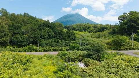 Kondo Triangle Land 8