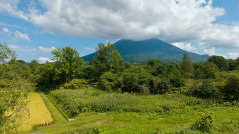 Kondo Yotei View Dreamland 13