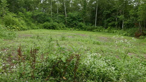 Kondo Quiet Land3