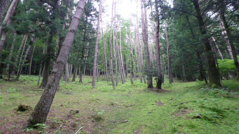 Land In Oshino Village Near Mount Fuji7