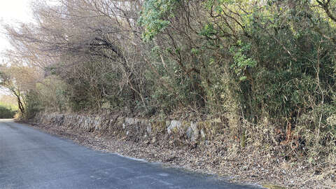 Land Near Lake Ashi3