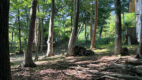 Land with Hot Spring Rights4