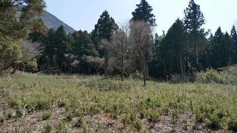 Large Hakone Development Land10