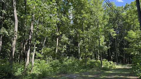 Large Hakuba Wadano1