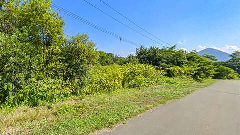 Leftview