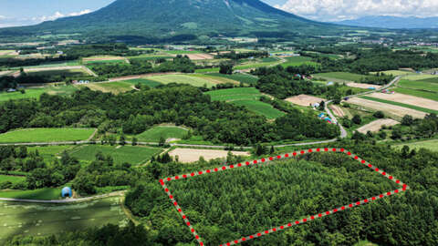 Makkari Panorama Land Aerial Photo 07 2023 10 05 015533 xzpx