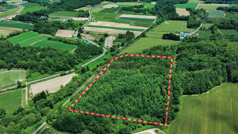 Makkari Panorama Land Aerial Photo 08 2023 10 05 015536 zwmc
