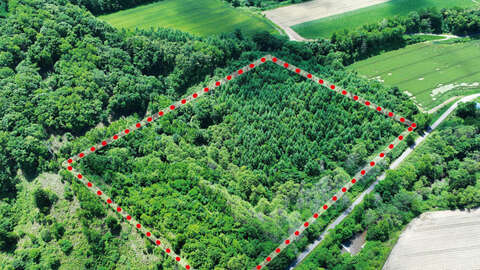 Makkari Panorama Land Aerial Photo 09 2023 10 05 015538 nnlk