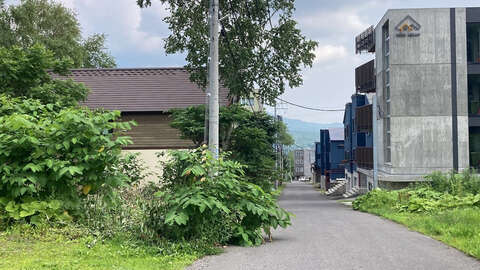 Middle Hirafu Land1