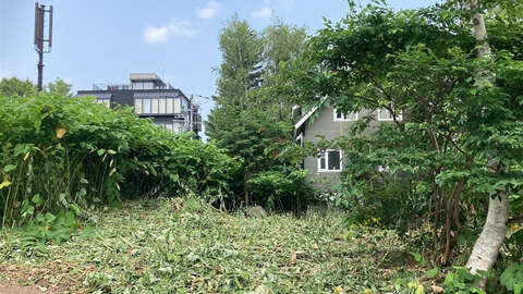 Middle Hirafu Land2