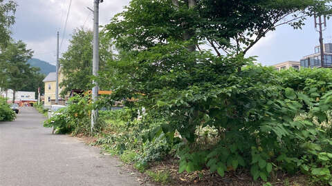 Middle Hirafu Land4