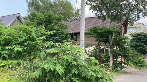 Middle Hirafu Land5