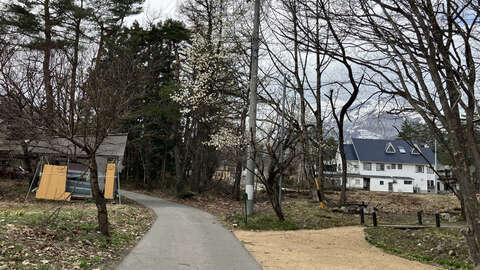 Misorano Chalet3