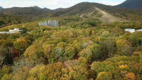 Moiwa Onsen Land Niseko Realty 2 1024x768
