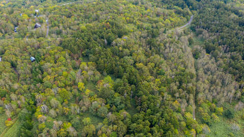 Moiwa Niseko Realty Land Development Land 5 1536x1023 1 1280x720