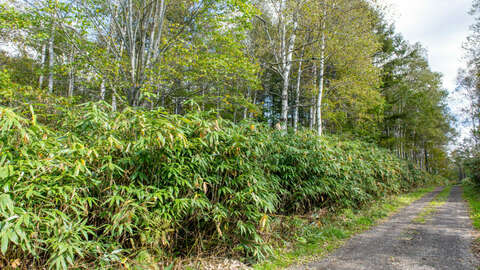 Moiwa Niseko Realty Land Development Land 9 1280x720