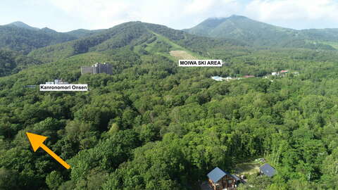 Moiwa Onsen Forest1