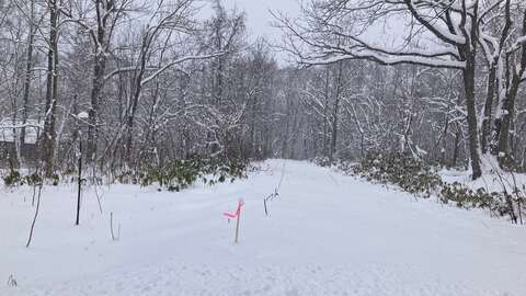 Moiwa Onsen Forest5