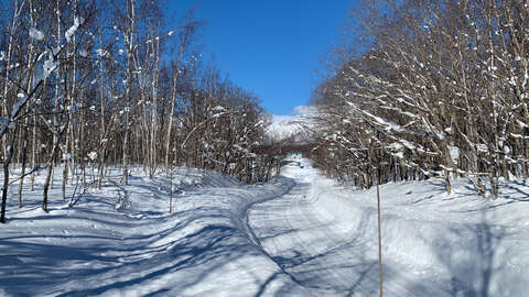 Niseko 177 3 10