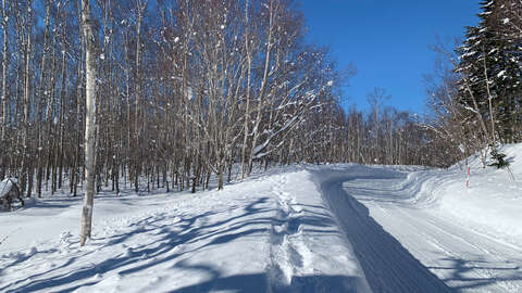 Niseko 177 3 11