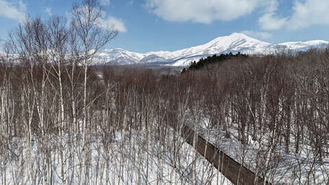 Niseko 177 3 4