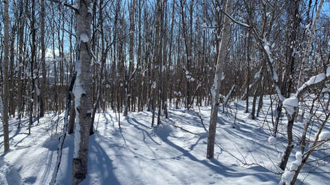 Niseko 177 3 9