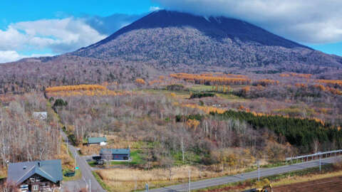 Niseko Kondo Route 66 2