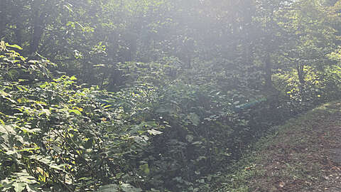 Niseko Large Development Land2