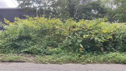 Niseko Moiwa Development Land Near Ski Resort3