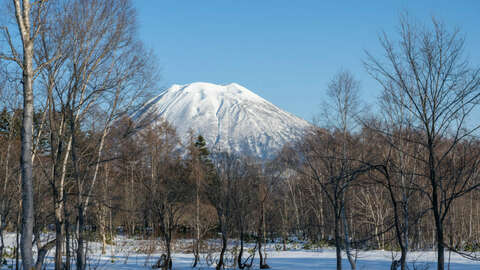 Niseko Realty Annupuri Land Real Estate 1024x682