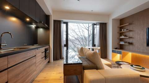 Niseko Realty Intuition 507 1