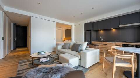 Niseko Realty Intuition 507 2