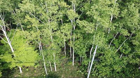 Niseko Realty Kondo Residential Land 3