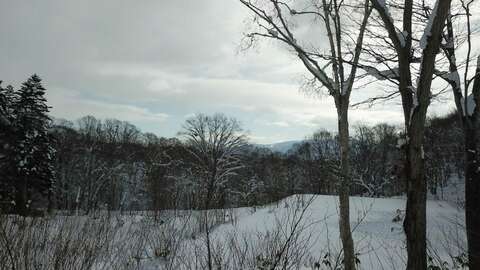 Niseko Realty Moiwa Onsen Site 1024x768