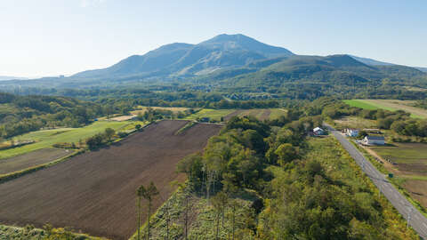 Niseko Realty Property Land Hirafu