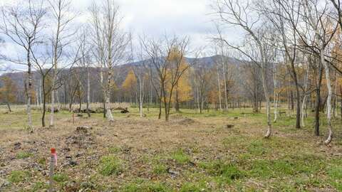 Niseko Realty Rusutsu Land 1024x682