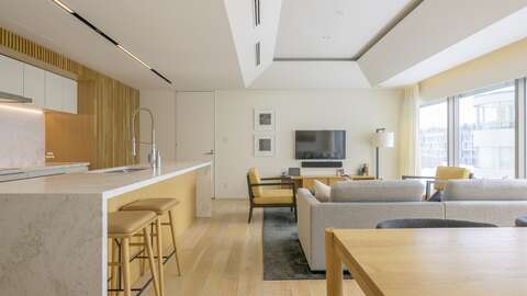 Niseko Realty Skye 513 3